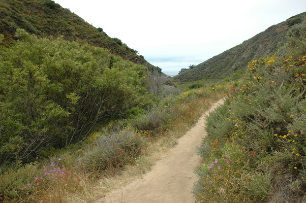 Soberanes Canyon 035.jpg